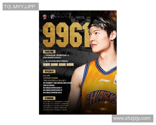 王哲林在CBA赛场的崛起与挑战解析，未来篮球之路的展望与期待